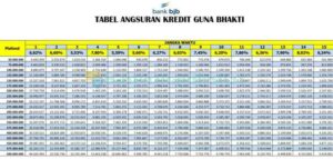 5 Tabel Angsuran Pinjaman BJB 2023 : PNS & Umum